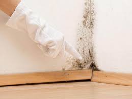 Best Mold Prevention Services  in Hampton, AR